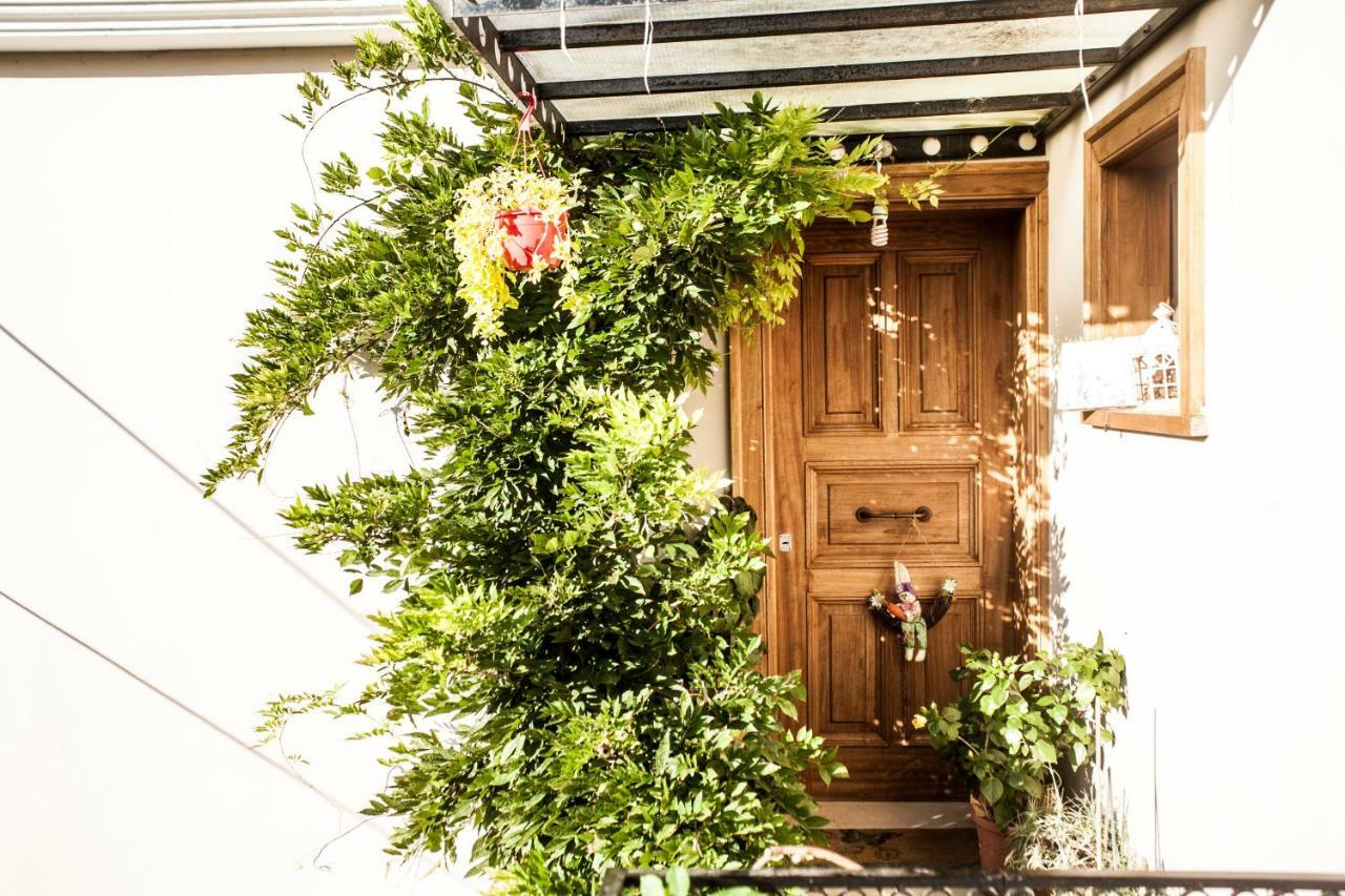 La Casa Di Caterina Guest House Lefkada City Exterior photo