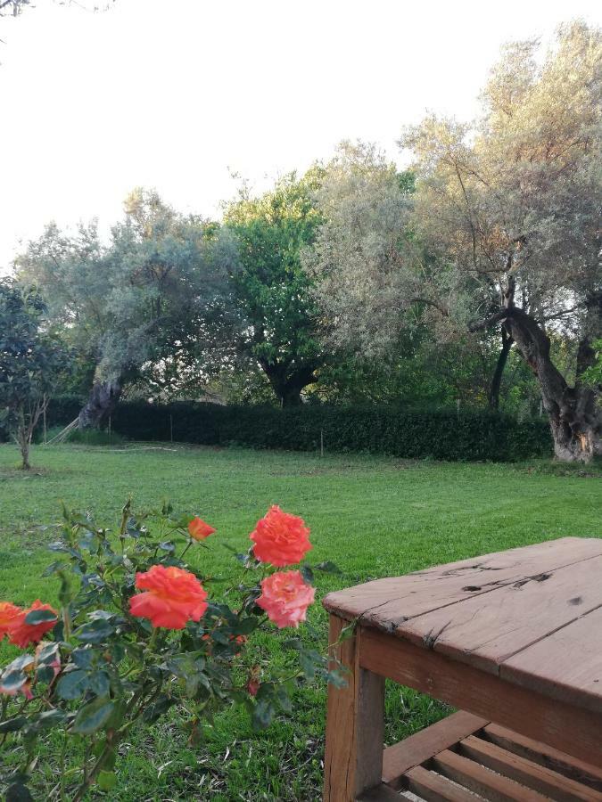 La Casa Di Caterina Guest House Lefkada City Exterior photo